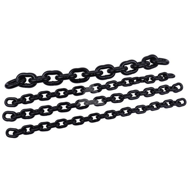 簡析手拉葫蘆起重鏈條磨損過大的原因