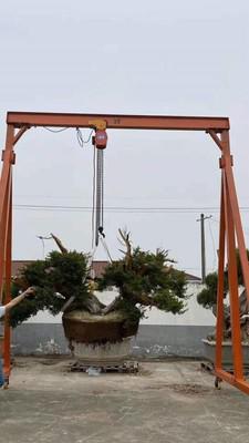 小型移動龍門架移植盆栽