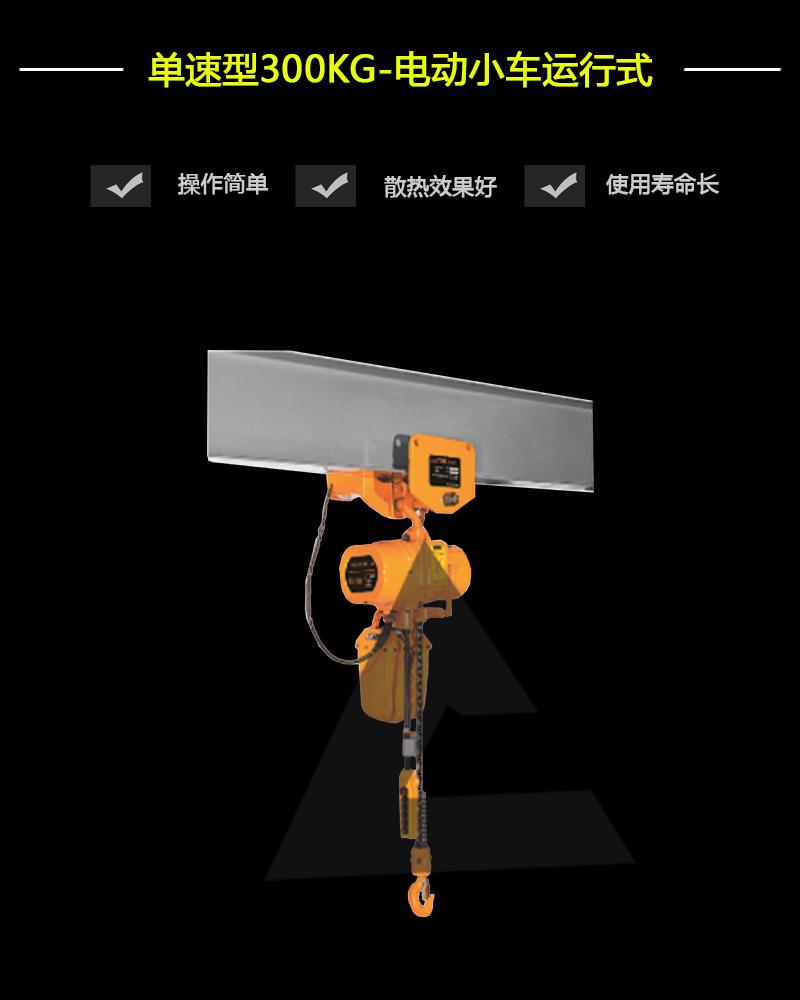 單速型300KG-電動(dòng)小車運(yùn)行式-辰力集團(tuán)有限公司