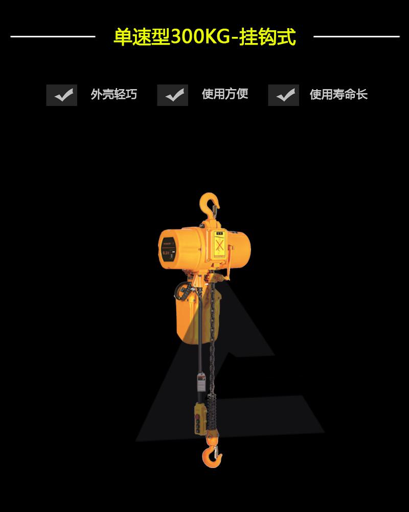 單速型300KG-掛鉤式-辰力集團(tuán)有限公司