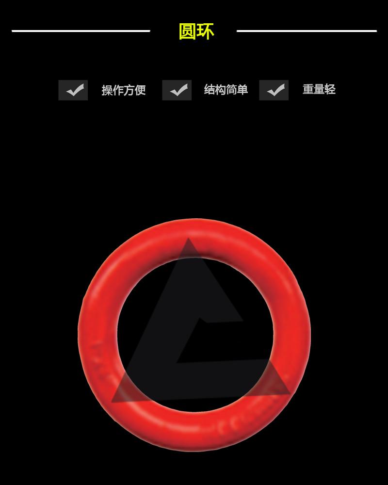 圓環-辰力集團有限公司