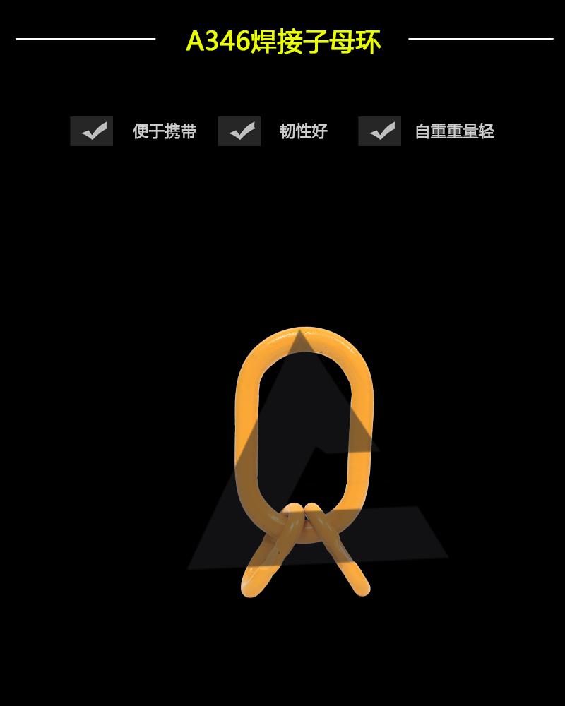 A346焊接子母環-辰力集團有限公司