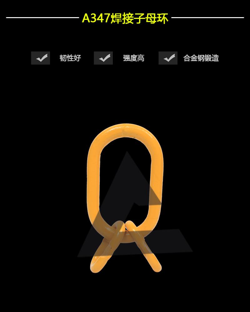 A347焊接子母環-辰力集團有限公司